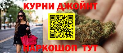 индика Новозыбков