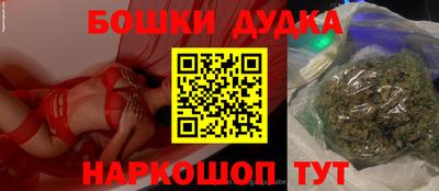 индика Новозыбков