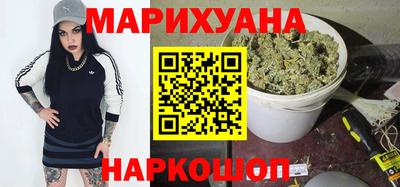 индика Новозыбков