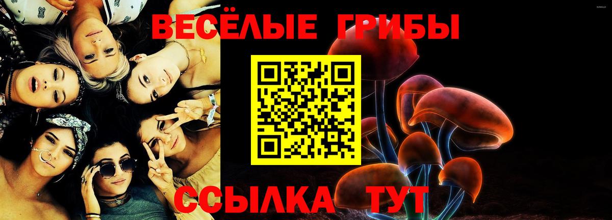 Псилоцибиновые грибы мухоморы  Вход с VPN  Унеча 